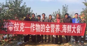 蘋果樹12月管理技術要點！抓緊時間看